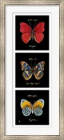 Framed Primary Butterfly Panel I