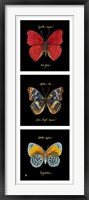 Primary Butterfly Panel I Framed Print