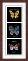 Framed Primary Butterfly Panel II