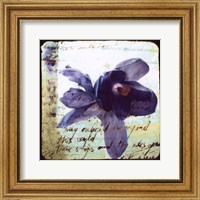 Framed Blooming Purple II