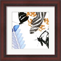 Framed Butterfly Inflorescence II