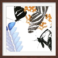 Framed Butterfly Inflorescence II