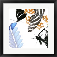 Butterfly Inflorescence II Framed Print