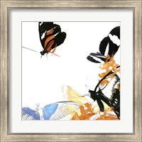 Framed Butterfly Inflorescence IV