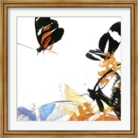 Framed Butterfly Inflorescence IV