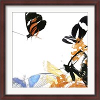 Framed Butterfly Inflorescence IV