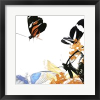 Framed Butterfly Inflorescence IV