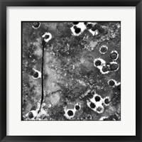 Black Ice II Framed Print