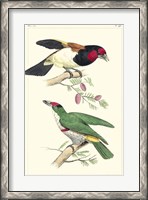 Framed Lemaire Birds III