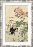 Framed Crane and Peony