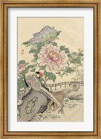 Framed Pheasant and Peony