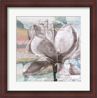 Framed Pastel Magnolias I
