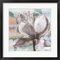 Framed Pastel Magnolias I