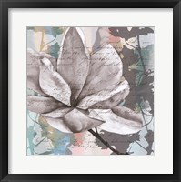 Framed Pastel Magnolias II