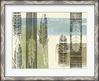 Framed Stamped Feathers II