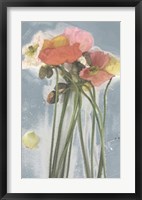 Poppy Spray I Framed Print