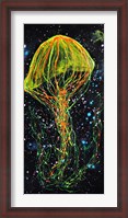 Framed Atlantic Sea Nettle