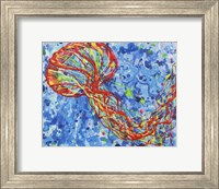 Framed Orange Sea Nettle