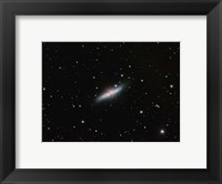 Framed Galaxy M82 in Ursa Major