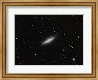 Framed Galaxy M82 in Ursa Major