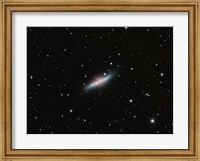 Framed Galaxy M82 in Ursa Major