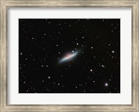 Framed Galaxy M82 in Ursa Major