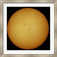 Framed sun in H-alpha light