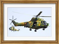 Framed Romanian Air Force IAR-330L SOCAT helicopters