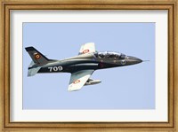 Framed Romanian Air IForce AR-99 Soim jet trainer