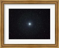 Framed bright star Altair in the constellation Aquila