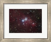 Framed NGC 2264 region showing the Cone Nebula, Christmas Tree Cluster, and Fox Fur Nebula