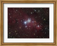Framed NGC 2264 region showing the Cone Nebula, Christmas Tree Cluster, and Fox Fur Nebula