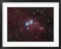 Framed NGC 2264 region showing the Cone Nebula, Christmas Tree Cluster, and Fox Fur Nebula