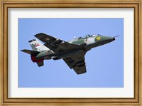 Framed Serbian Air Force Soko G-4 Super Galeb