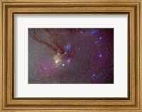 Framed Head of Scorpius with celestial deep sky objects
