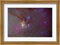 Framed Head of Scorpius with celestial deep sky objects