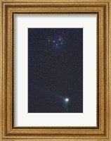 Framed January 6, 2005 - Comet Machholz