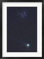 Framed January 6, 2005 - Comet Machholz