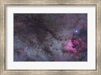 Framed North America Nebula and dark nebulae in Cygnus