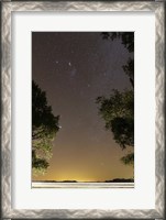 Framed Orion constellation between trees, Buenos Aires, Argentina