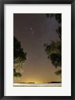 Framed Orion constellation between trees, Buenos Aires, Argentina