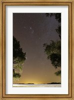 Framed Orion constellation between trees, Buenos Aires, Argentina