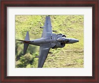Framed Royal Air Force Harrier GR9 flying low over North Wales