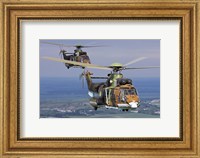 Framed Eurocopter AS532 Cougar helicopters in flight over Bulgaria
