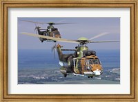 Framed Eurocopter AS532 Cougar helicopters in flight over Bulgaria