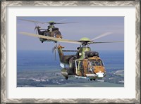 Framed Eurocopter AS532 Cougar helicopters in flight over Bulgaria