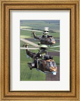 Framed Pair of Bulgarian Air Force Eurocopter AS532 AL Cougar helicopters