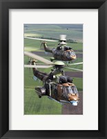 Framed Pair of Bulgarian Air Force Eurocopter AS532 AL Cougar helicopters