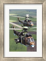 Framed Pair of Bulgarian Air Force Eurocopter AS532 AL Cougar helicopters