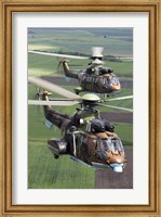 Framed Pair of Bulgarian Air Force Eurocopter AS532 AL Cougar helicopters